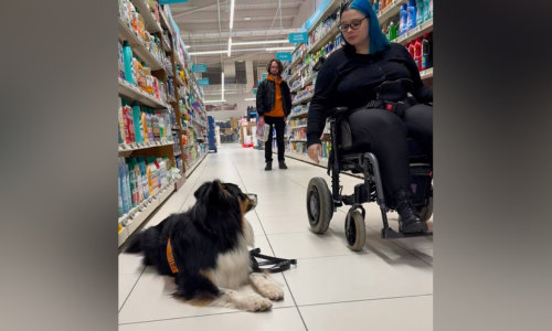 Marie, en fauteuil roulant, avec son chien June dans un magasin.