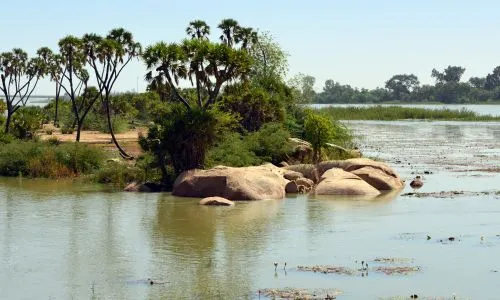 Photo d’une rivière au Niger.