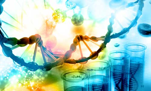USA : vente de tests ADN dépistant 36 risques de maladies